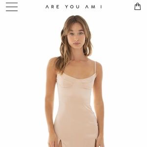 Are You Am I Prissi Dress in Fawn